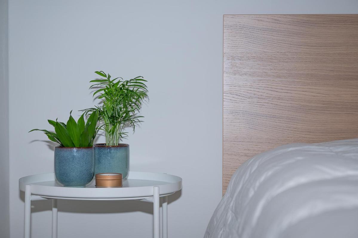 Trendy Apartments As Base To Discover Гент Экстерьер фото